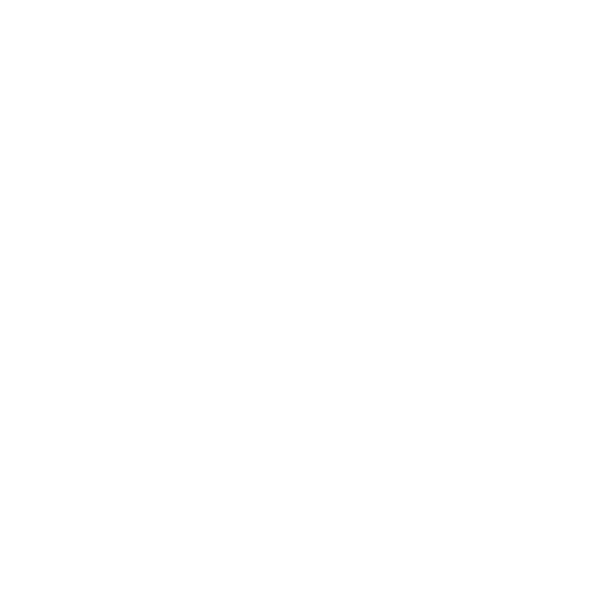 logo_flavia_plini_bianco